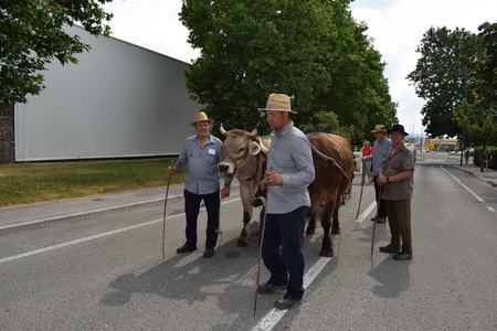 Fotografije Srečko Šajn (13)